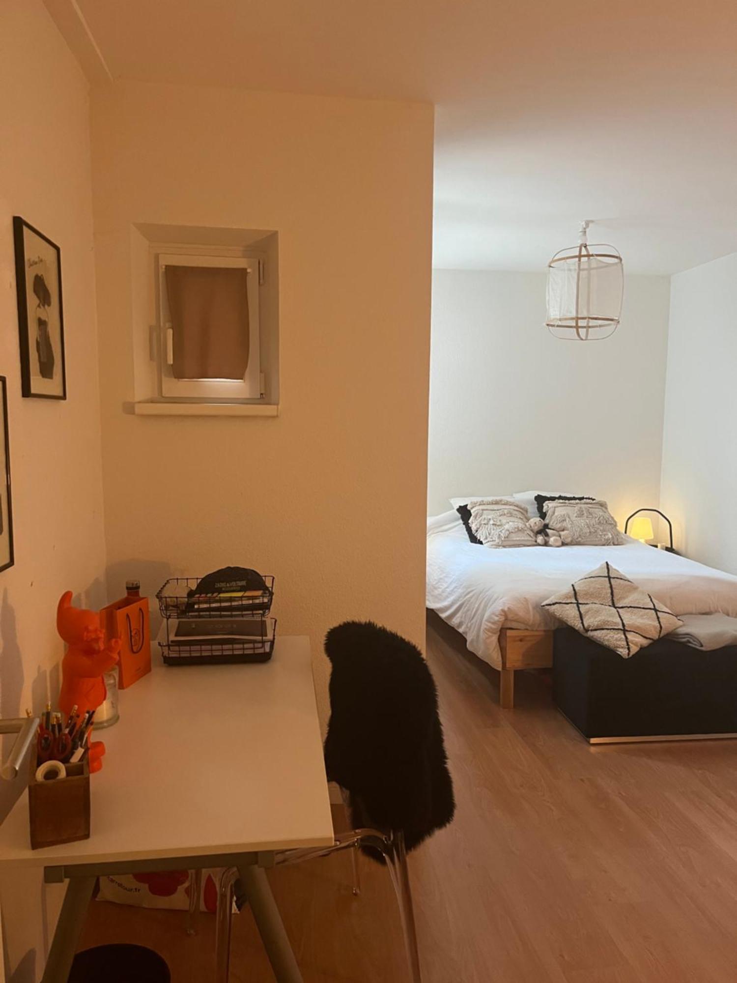 Joli Appartement Au Coeur De Strasburg Zewnętrze zdjęcie